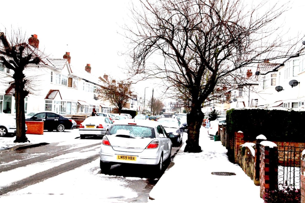 Stanley avenue Snow
