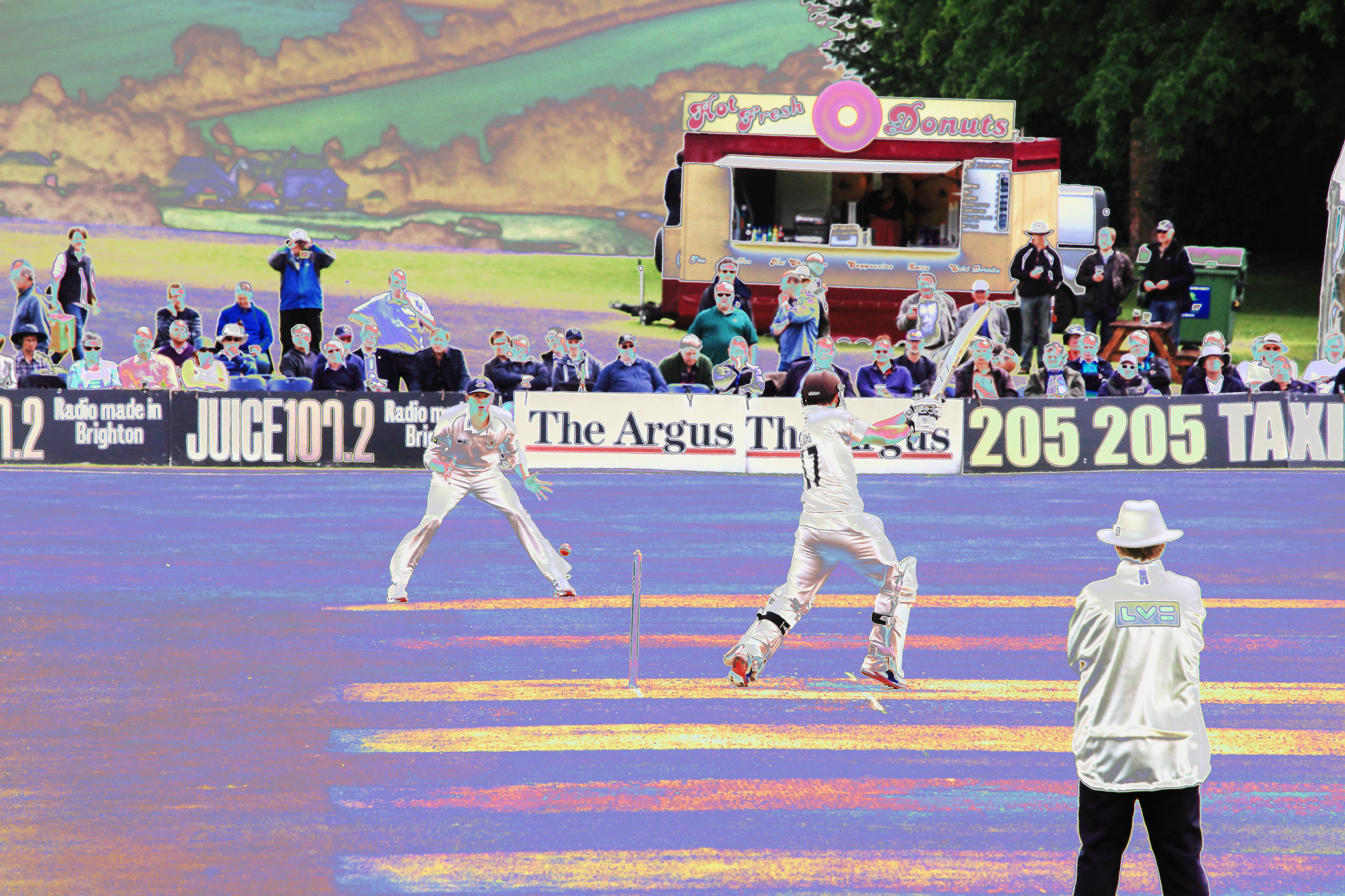 Cricket at Arundel by Chris J Bushe