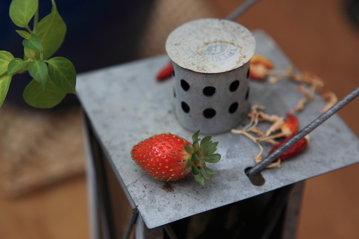 last strawberry copy