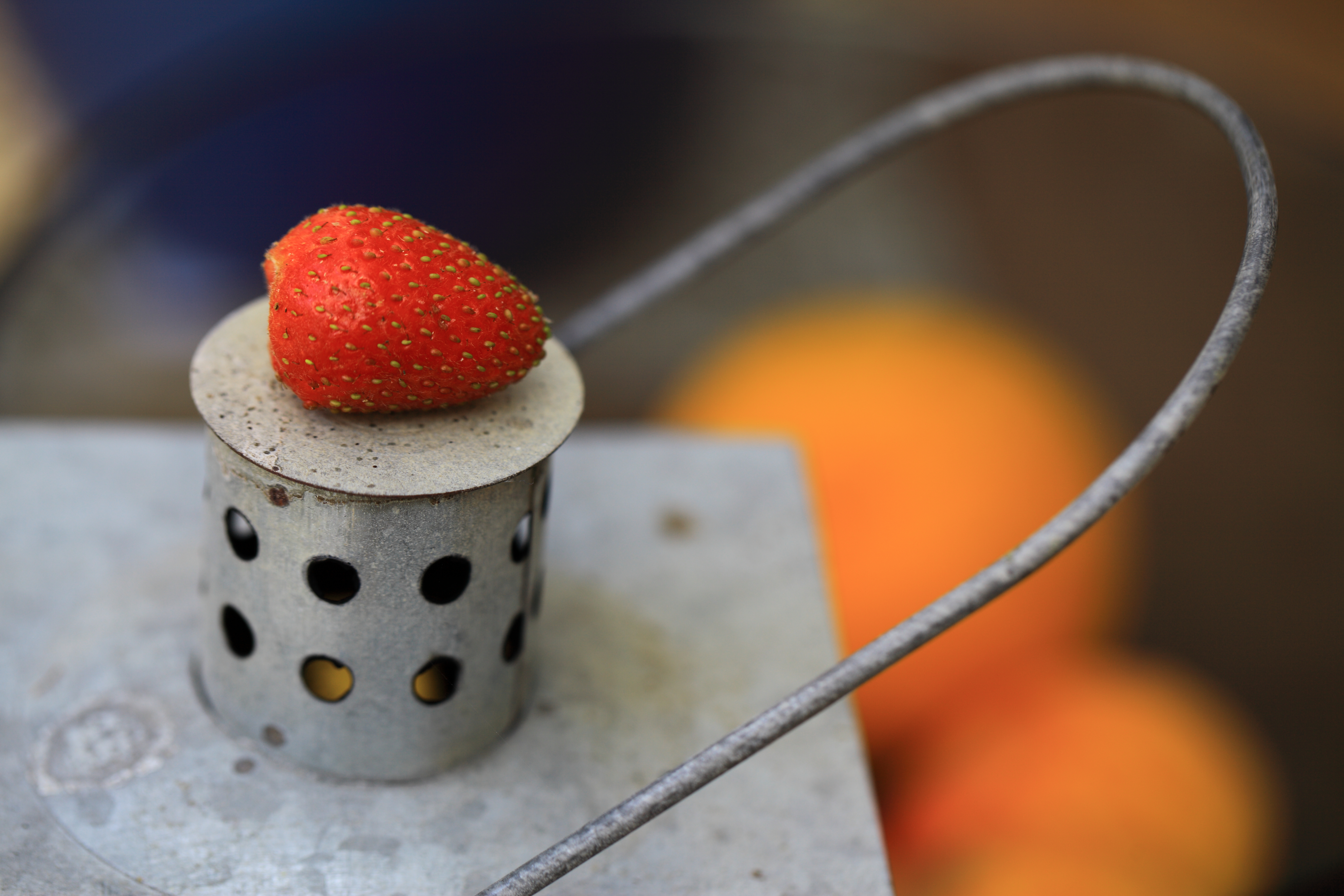 Strawberry from the garden. My favourite photo of 2014.Copyright chris Bushe