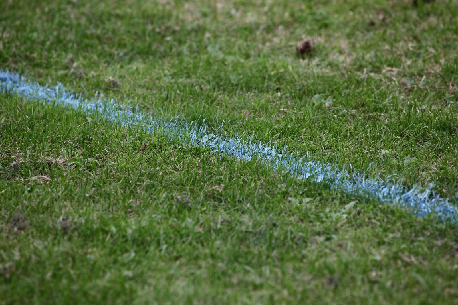 Blue lines football markings FA Cup