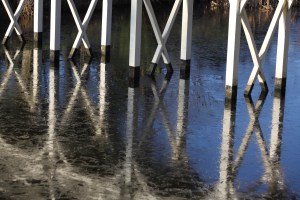 Painshill Park Cobham. Copyright Chris bushe