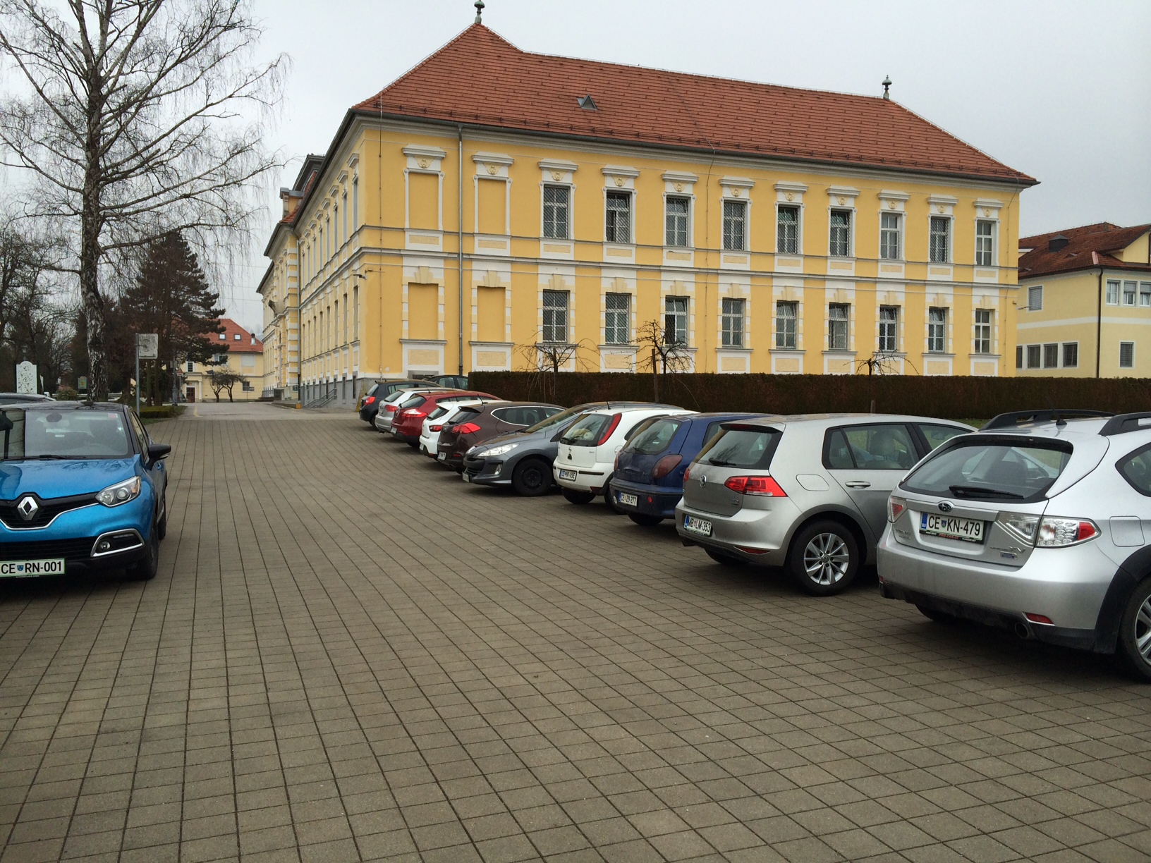 Slovenian Mental Hospital