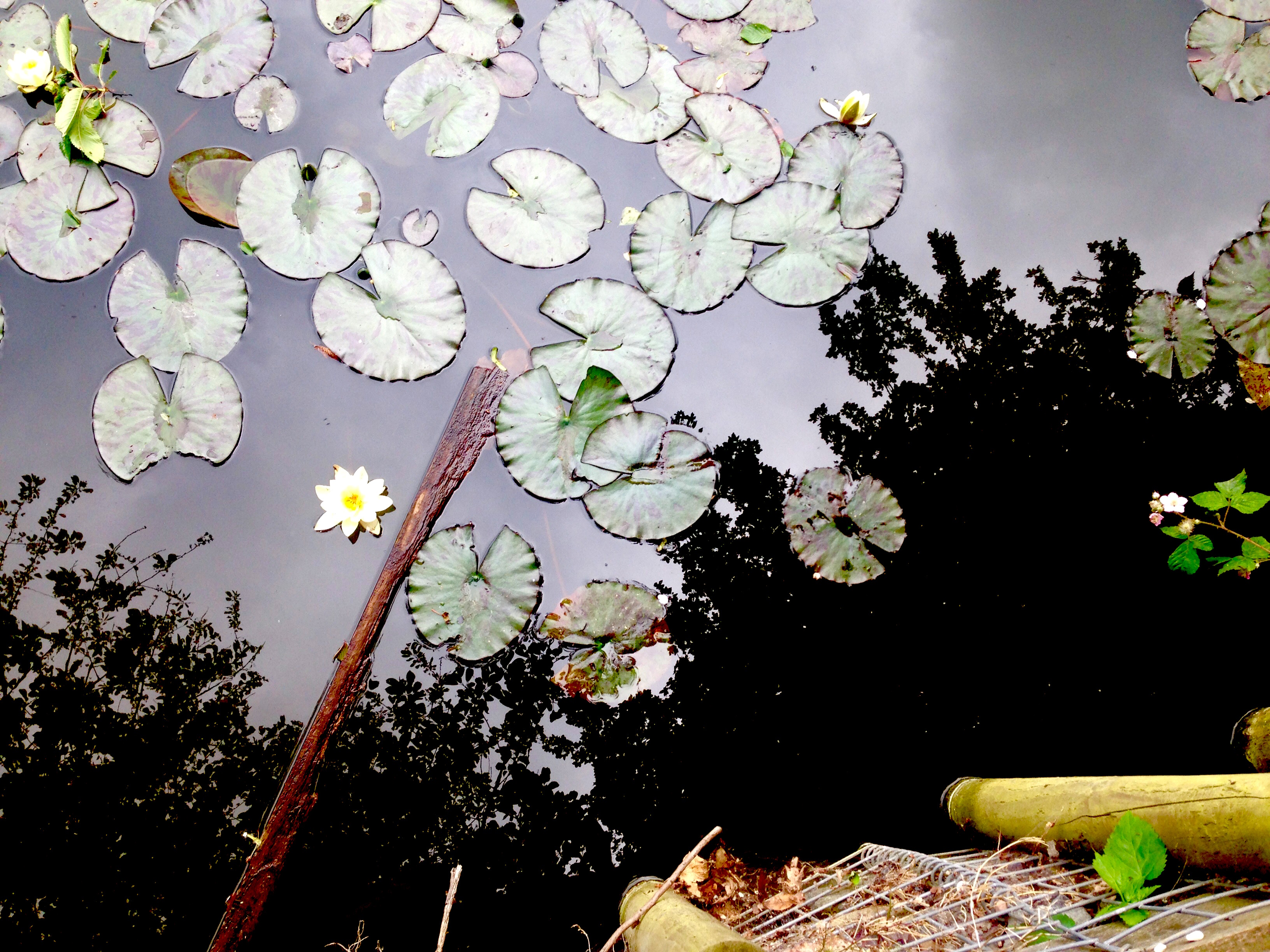 Birmingham looking nice