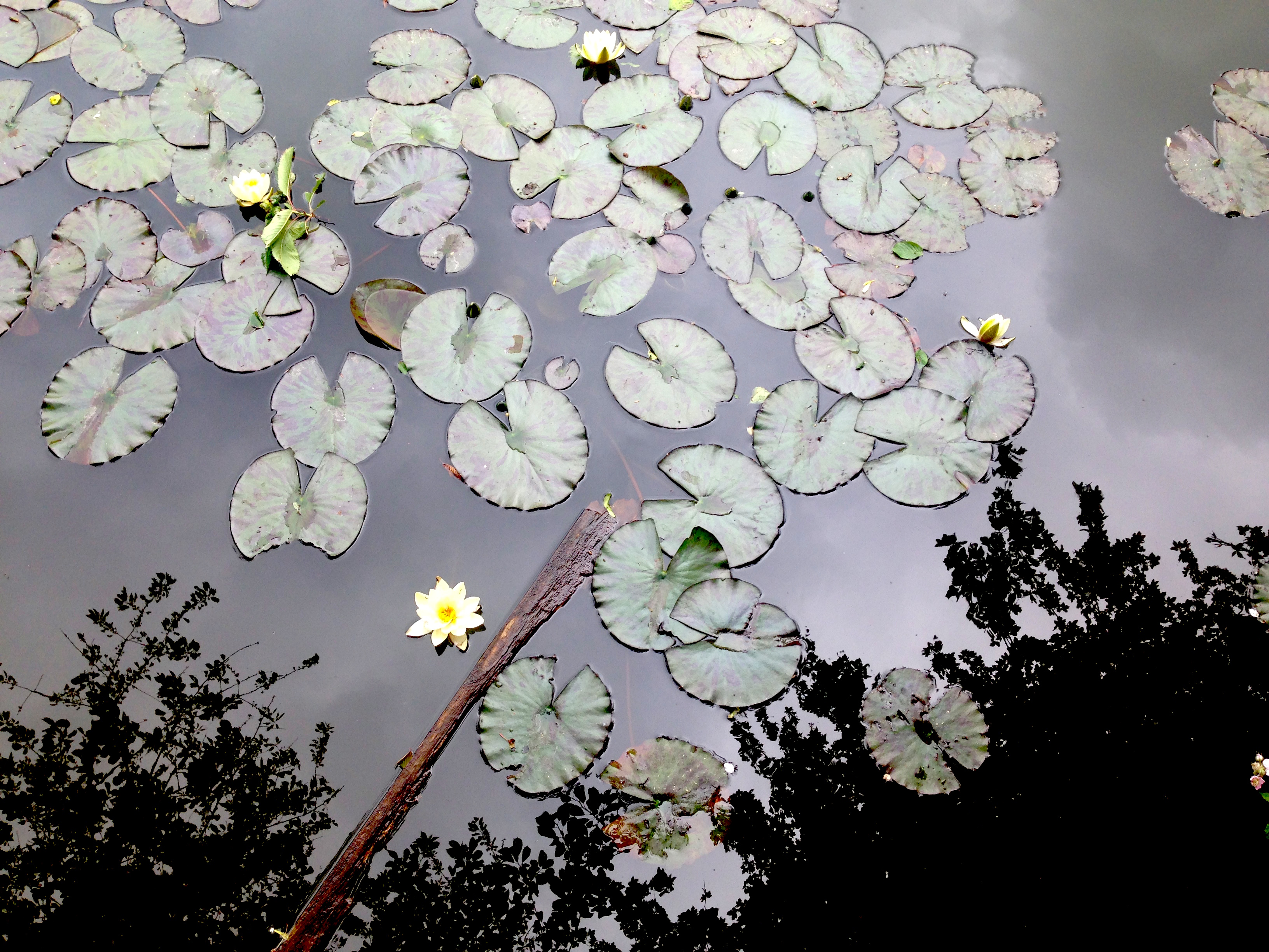 Birmingham looking nice