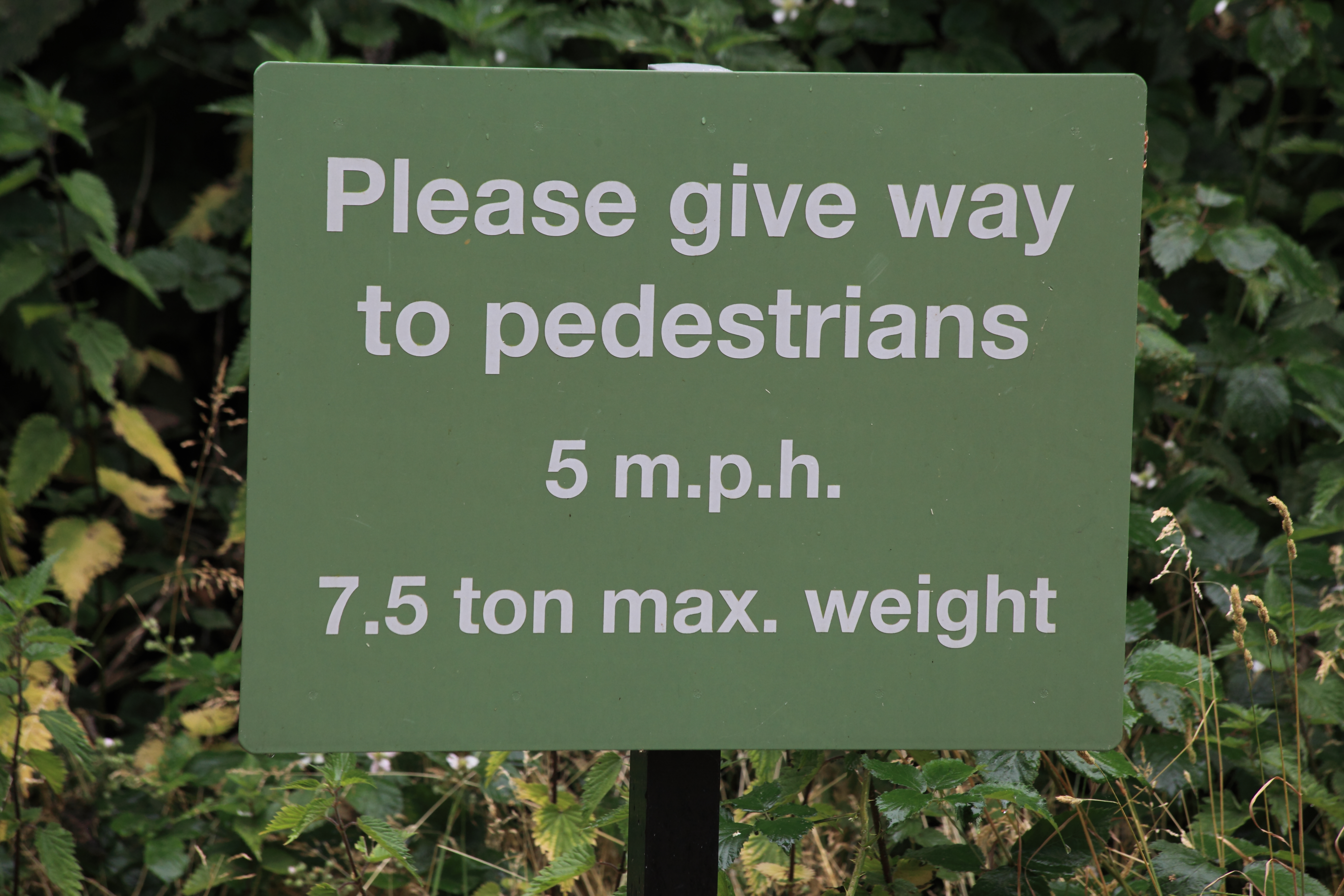 Pedestrians max weight 7.5 tons