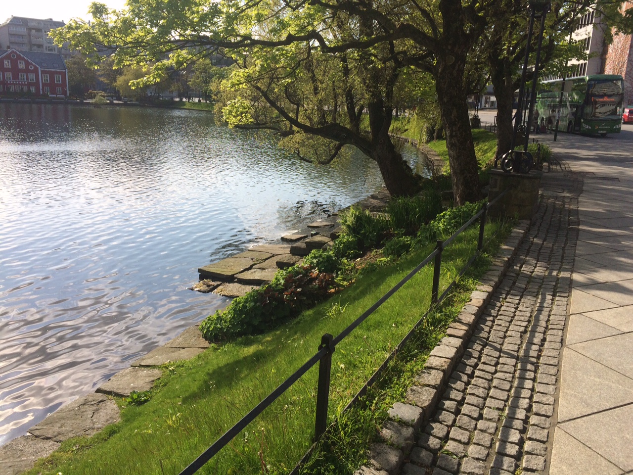 Morning walk by lake