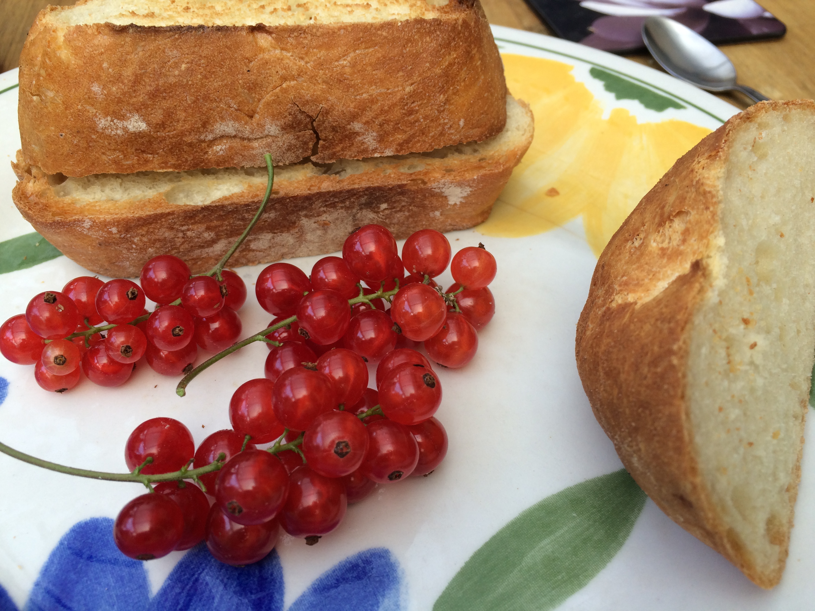 Redcurrants Copyright Chris Bushe 2015