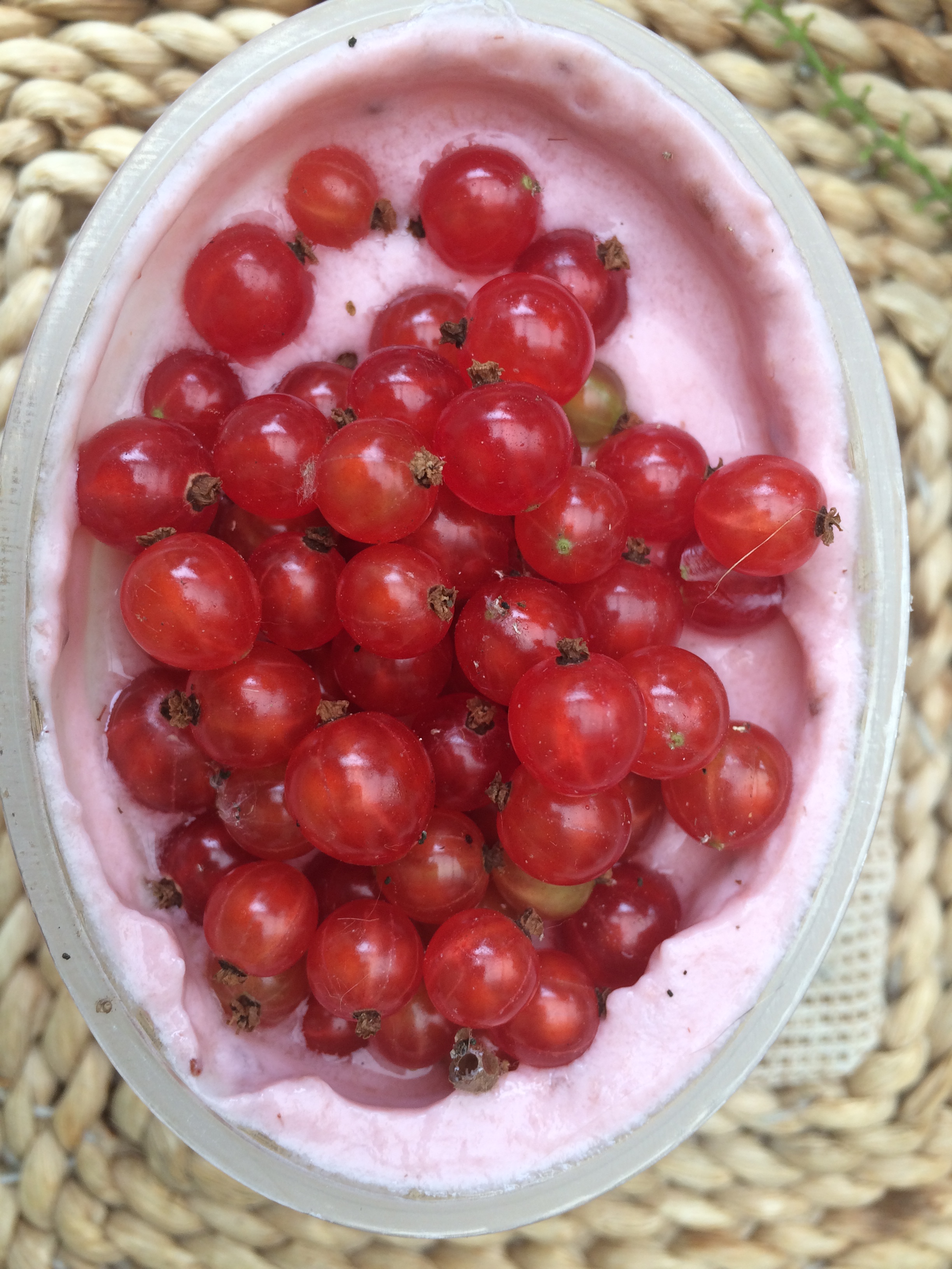 Redcurrants Copyright Chris Bushe 2015