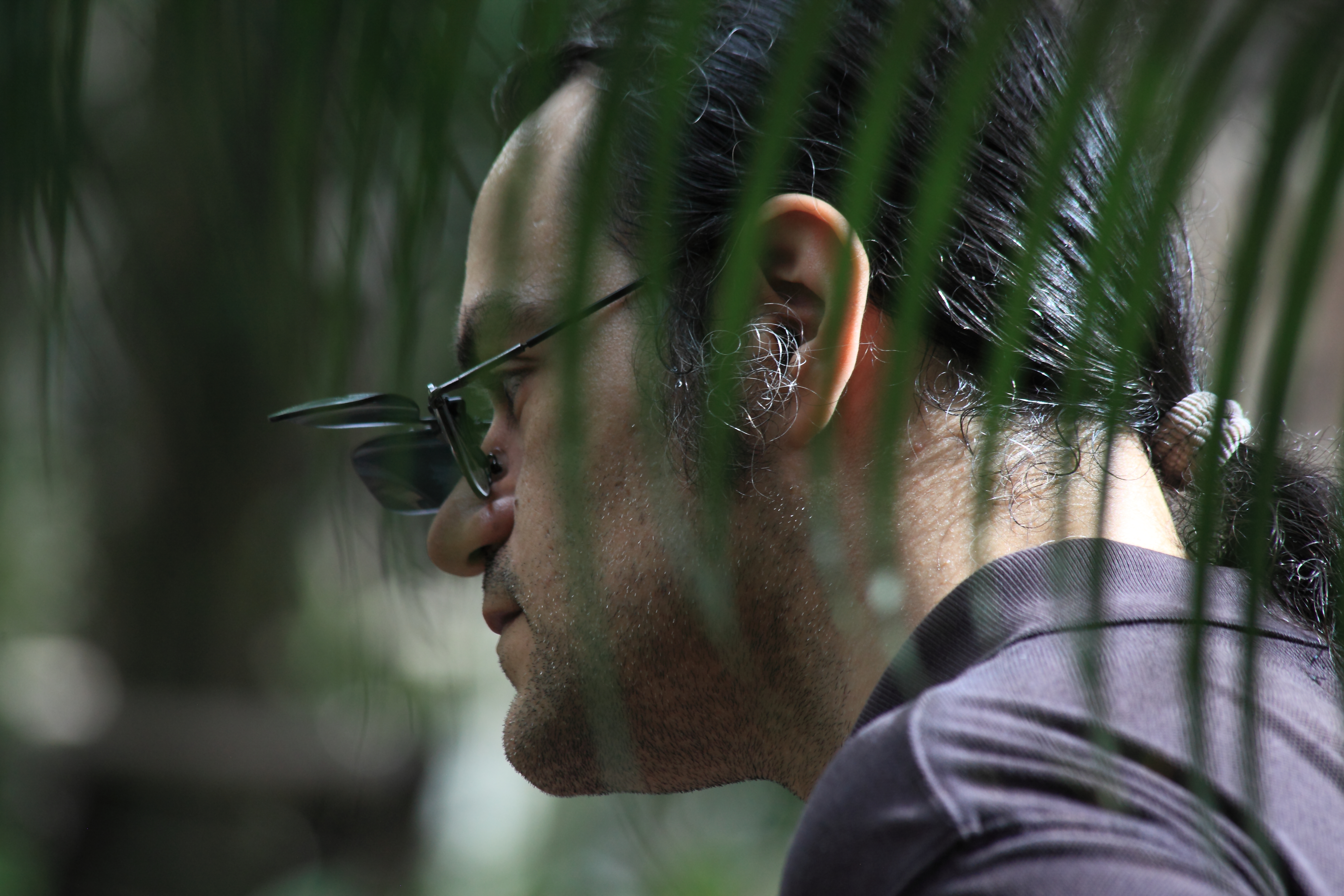 Hairy Ears Copyright Chris Bushe 2015