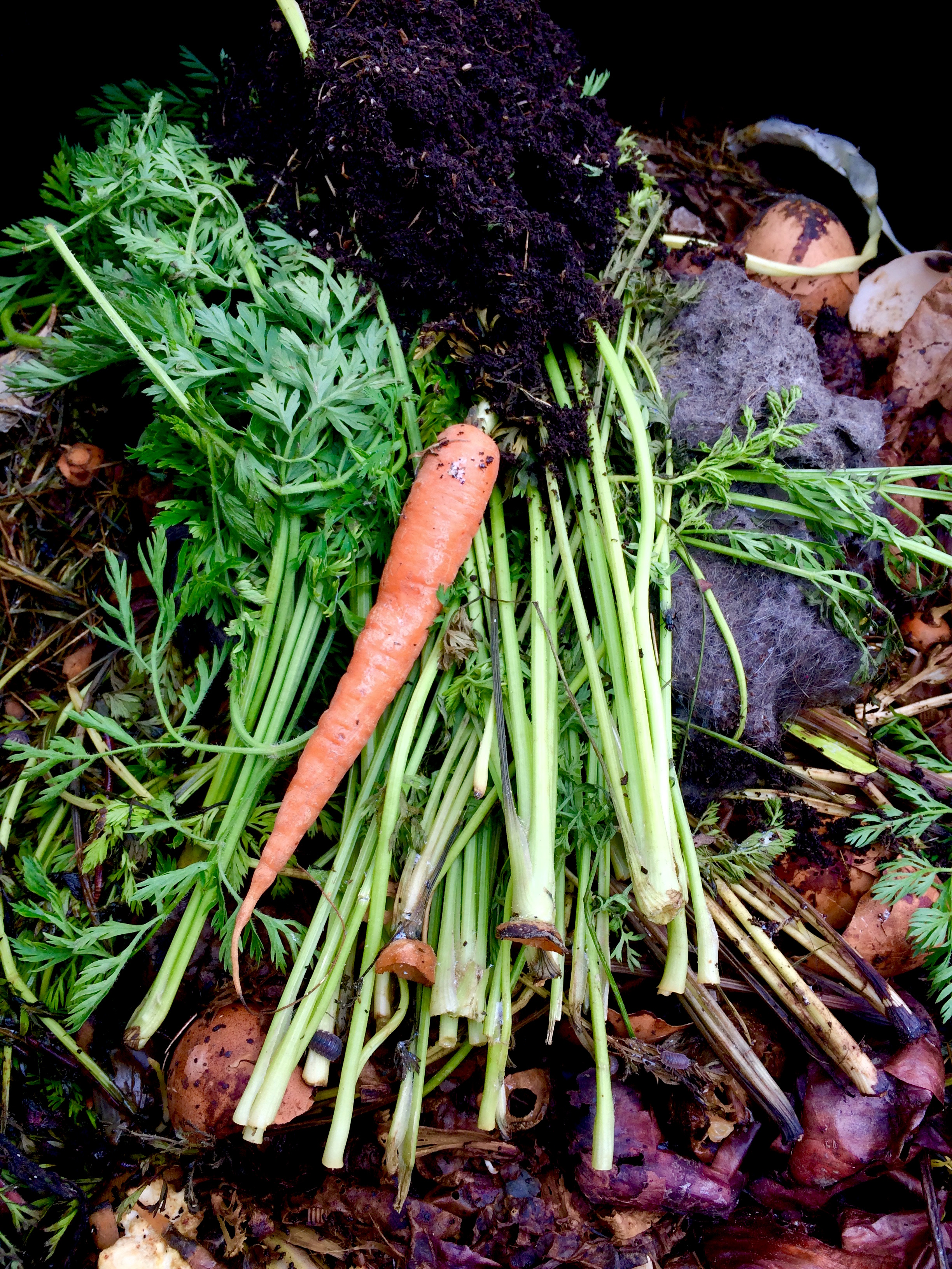 Vegetarian Mixture. But what is it?