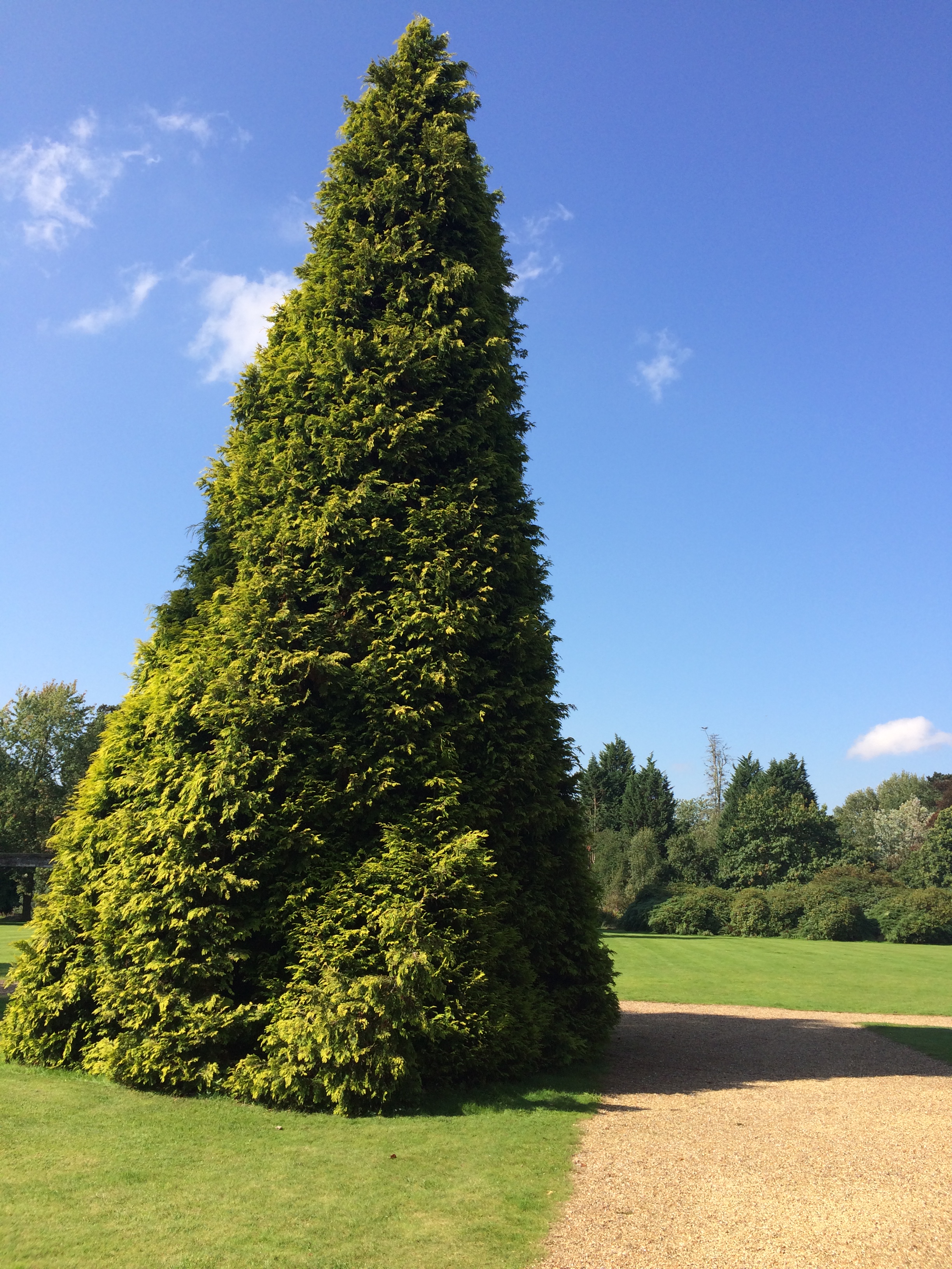 Shendish Manor. Copyright Chris Bushe 2015