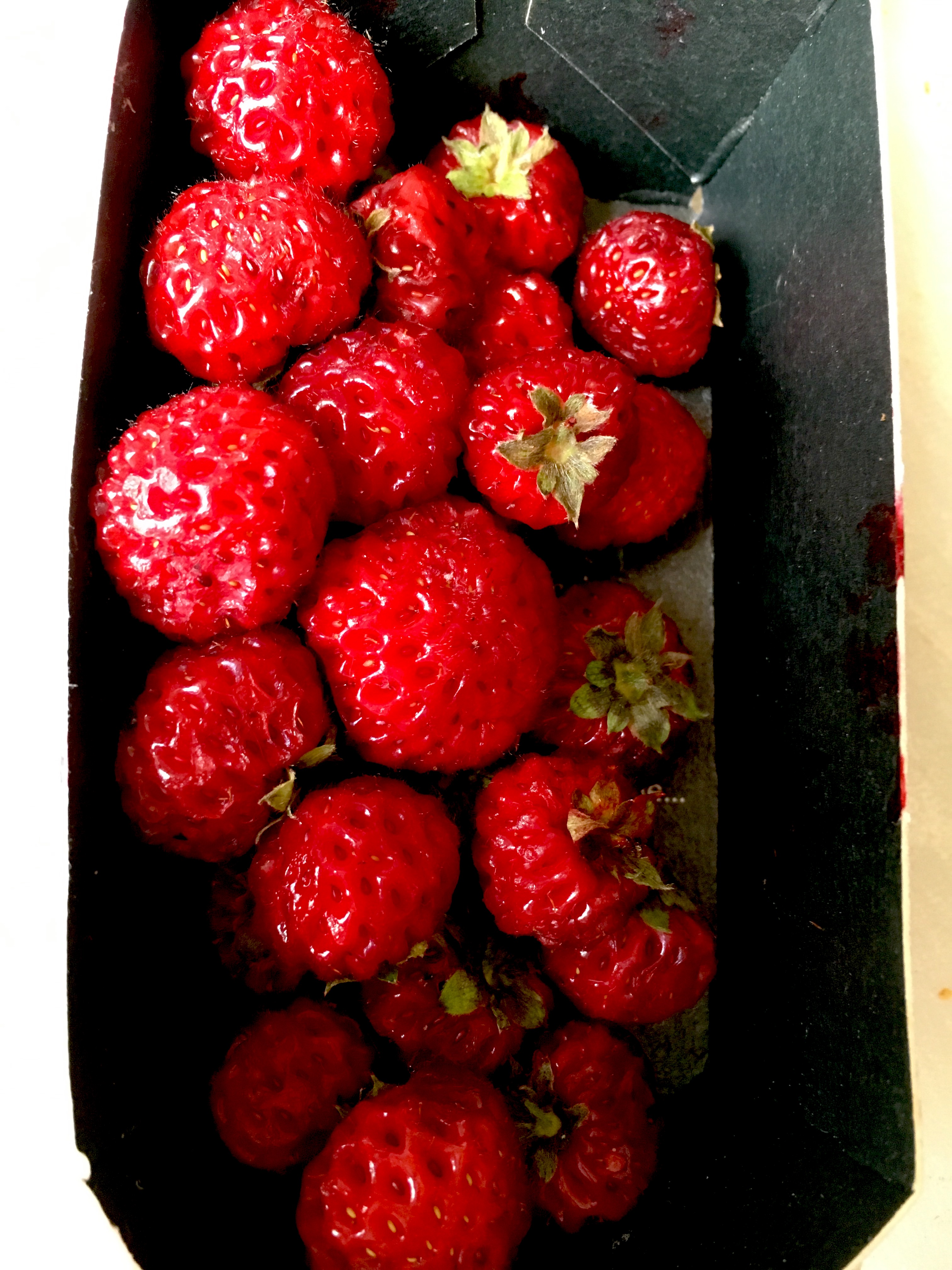 Straspberry Strasberry. What exactly is it? | Arcticterntalk.org