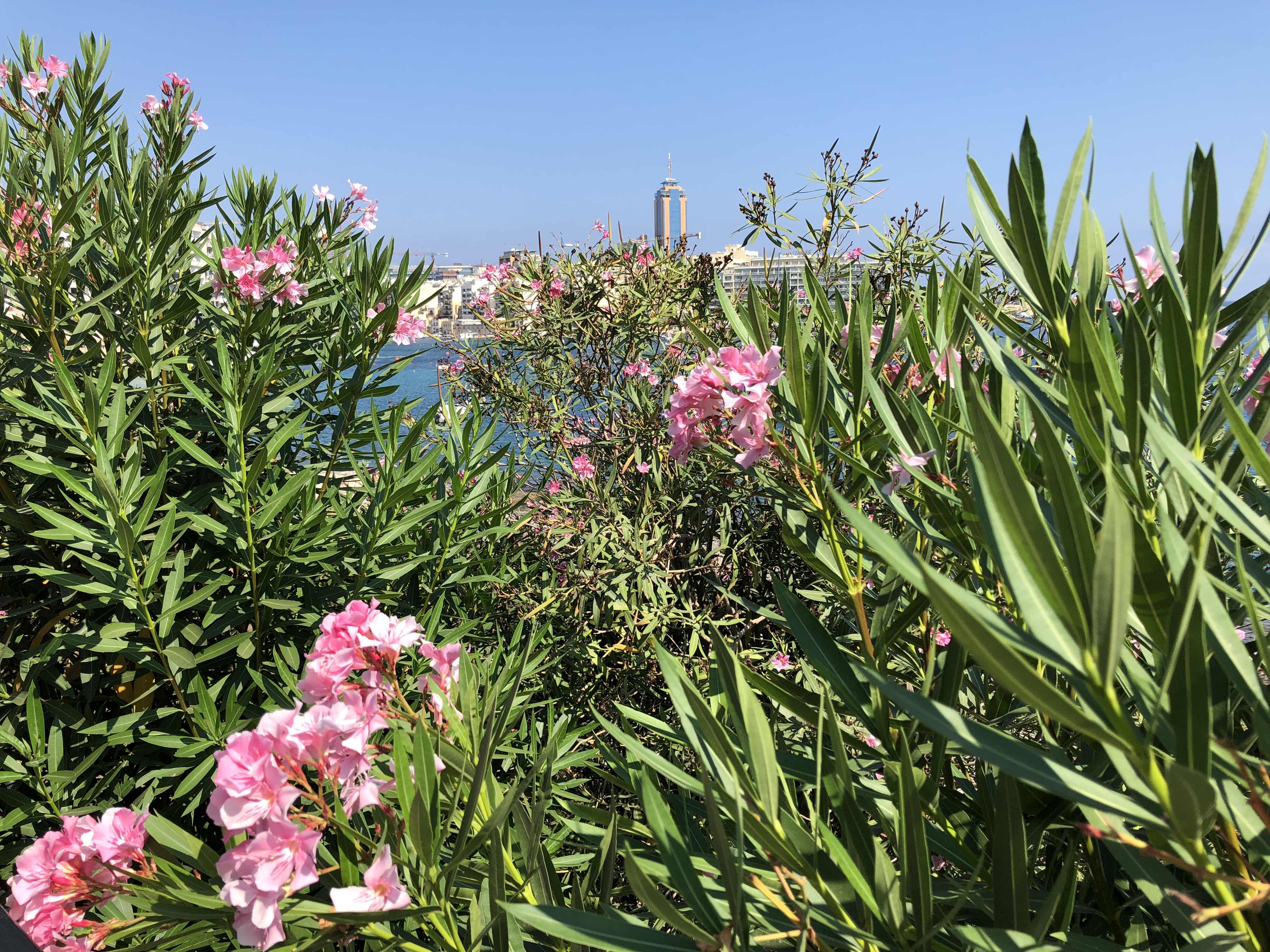 F2B103A6-8E66-4282-8A7D-93DCE78AF894